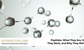 2026 Version Growth Hormone Releasing Peptides Ghrps