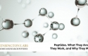 2026 Version Growth Hormone Releasing Peptides Ghrps