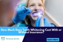 Can Teeth Lighten Damage Enamel? Fact & Suggestions Exposed