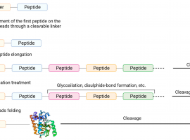 Study Peptides Available For Sale In USA