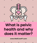 How To Enhance Your Pelvic Health And Wellness