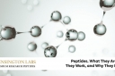 2026 Version Growth Hormone Releasing Peptides Ghrps