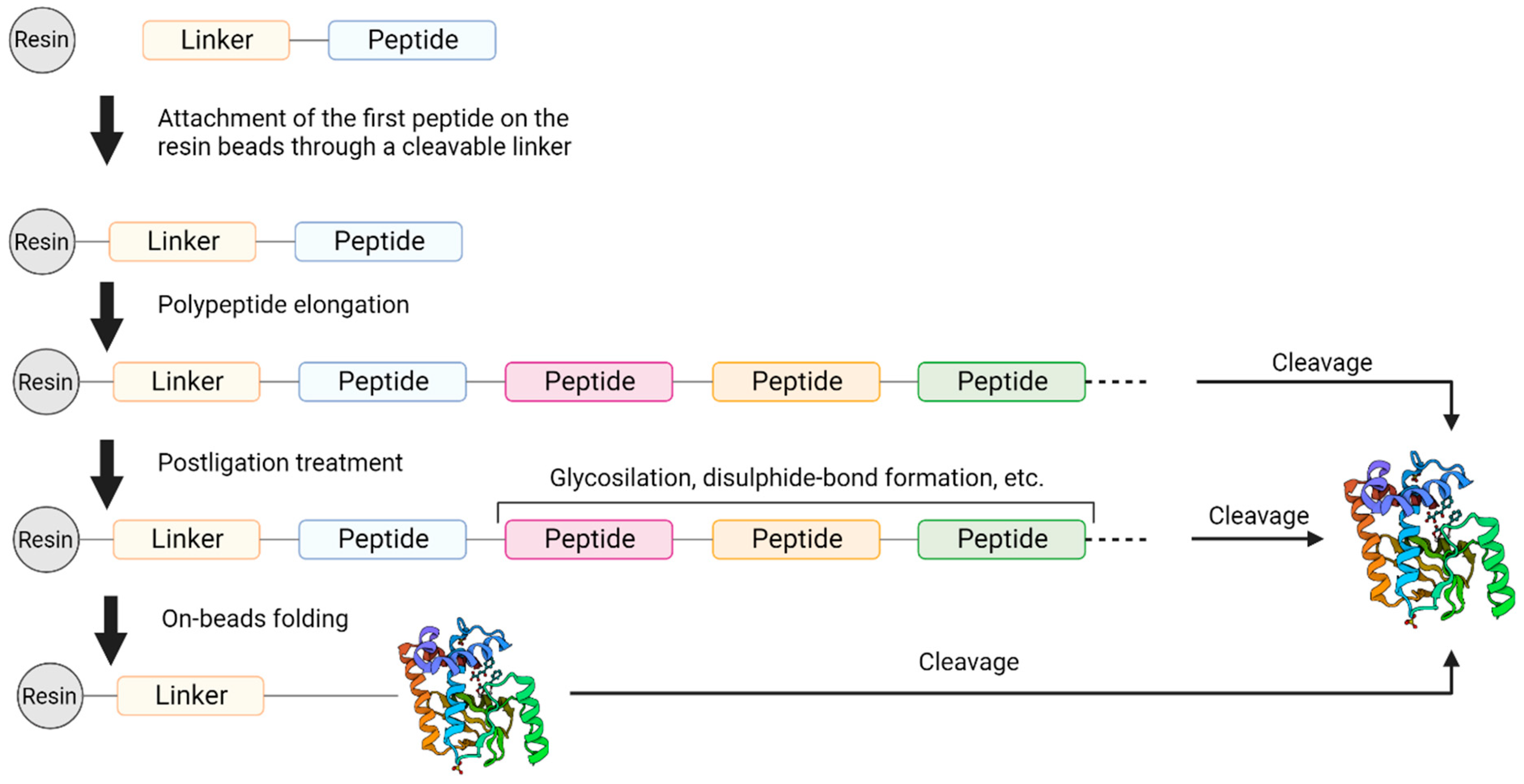 Study Peptides Available For Sale In USA